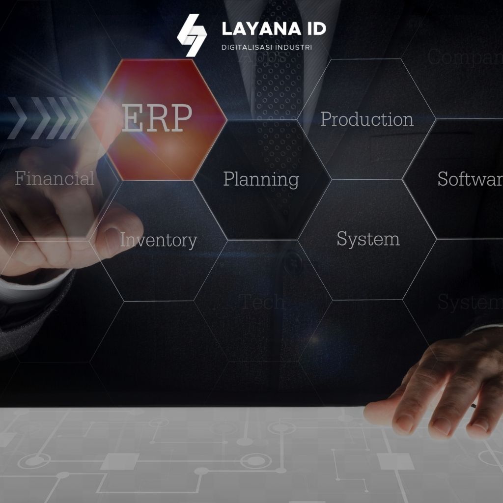Jasa Custom ERP